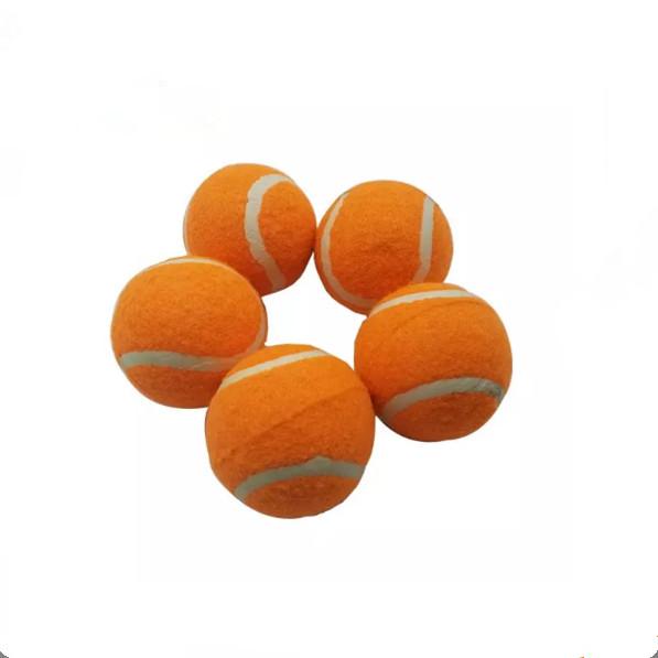 2.5 Inch Tennis Balls for Dogs Colorful Interactive Dog Toys Dog Gift for Large