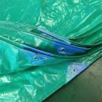 Affordable 50-300gsm Pe Tarpaulin for Truck Waterproof High Strength and Light