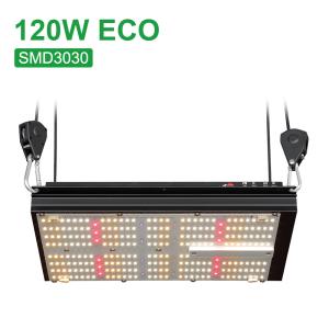 China 120W Epistar 3000k 5000k UV LED Quantum Board Sosen Driver factory