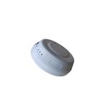 ROHS Approve PIR Motion Recording Night Vision Smoke Detector Camera