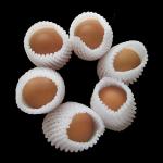 Mesh EPE Foam Fruit And Vegetable Glass Bottle Protective Sleeve
