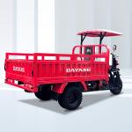 Petrol Gasoline 250cc Motorized Adult Tricycles for Cargo Transportation from