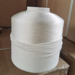 Smoothly Polyester Yarn 120D/2 ZS Twist For Embroidery