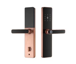 China S819 Smart Fingerprint Locks Zigbee Biometric Door Locks For Home factory