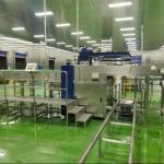 Full Set Canned Fish Processing Equipment Canned Herring Hairtail Tilapia Tuna