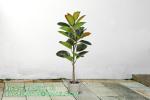 80cm Nearly Natural Looking Oak Tree Faux Plants Ornamental Indoor Tree