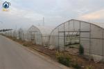 Arched Temperature Control Tunnel Green Houses With Outside Shading System