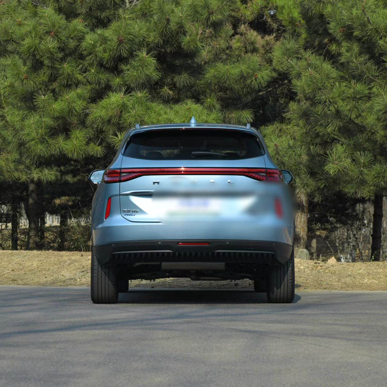 -Made Changcheng Haval H6 Energy 2023 DHT-PHEV 110km Compact SUV 5 Doors 5 Seats Good