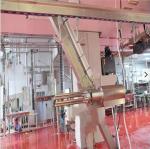 Stainless Steel 304 Slaughterhouse Cow Machine Polyurethane Rubber Hair Plucking