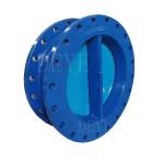 Cast Ductile Iron Water Valve Wafer Duo Plate Double Disc Check Valves