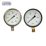 80mm Kpa Mbar Bellows Pressure Gauge Low Pressure Manometer Radial Connection