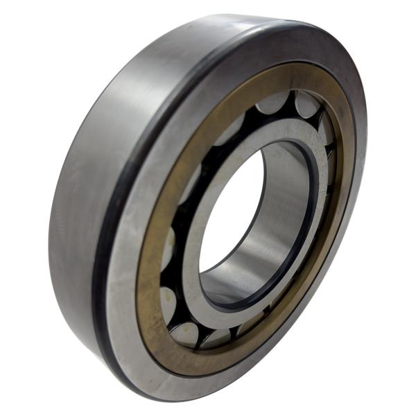 05224392 Road Roller Parts Electric Sealed Spherical Roller Bearing Germany For