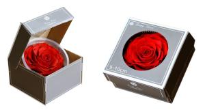 China China factory Real Preserved Rose in Gift Box for Decoration Gift Preserved Flowers in Box factory