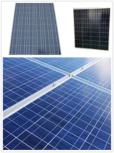 China Anodized Aluminum Polycrystalline Solar Module 350w Cells factory