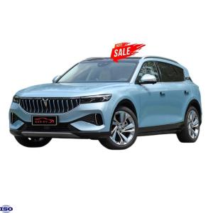 China 2021 Dongfeng Lantu Free Sport Car Long Range Electrical Car Second Hand Cars for Adult Energy Type Pure Electric factory