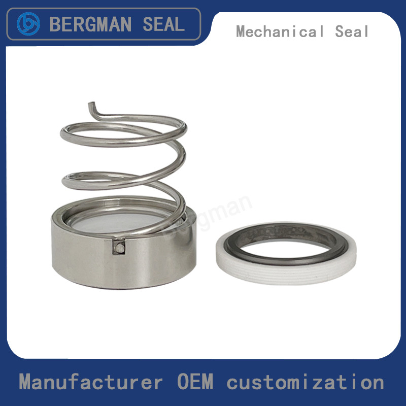 BERGMAN M37G M3N 18mm-90mm G60 G4 G6 G9 G13 G16 BS Bo BP Pump Mechanical Seal
