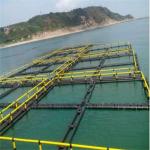 Flexibility Floating Fish Cage Light Weight Abrasion Resistance Smooth Surface