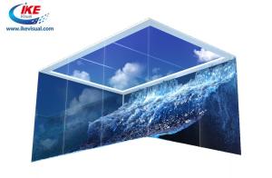 China Naked Eye 3D LED Display Screen factory