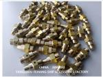 DN6, Spring Loaded Self Closing Vent Valve Material Bronze / Brass Connection