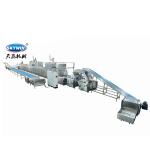 CE Automatic 100~250kgs/H Soft Small Cookie Making Machine