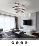 LED Morden Fancy Creative Acrylic Chandelier For Home Coffee Color