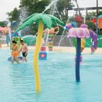 Frog Mushroom Water Park Splash Pad Outdoor Water Play Equipment