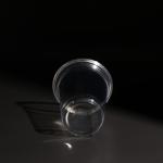 Plastic Disposable PET Cup With Dome Lid And Flat Lid For Boba Tea