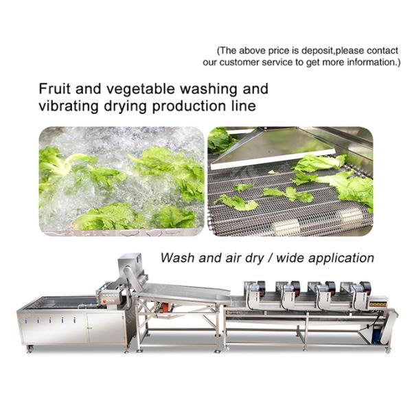Fruit and vegetable washing and vibrating drying production line Fruit Vegetable FOOD processing production Machine Versatile and Durable Fruit