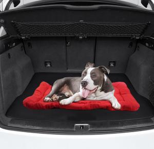 China Travel Waterproof Outdoor Cat Blanket 5cm Thick PP Cotton factory