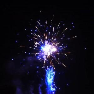 China Wholesale China Pyrotechnics New 1.4 Pro Line Fireworks 1000G 300 Shots Consumer Cake Christmas New Year Big Fireworks Cake Fireworks &amp; Firecrackers factory