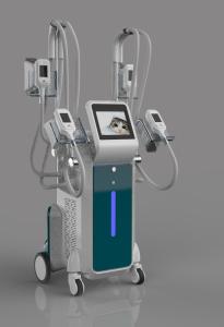 China 4 handles Coolsculpting body slimming cryolipolysis fat freeze slimming machine with RF cavitation handles factory
