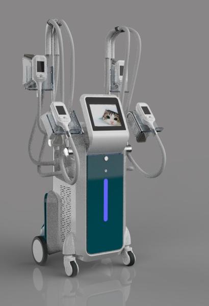 4 handles Coolsculpting body slimming cryolipolysis fat freeze slimming machine