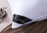 Bedroom 60x60cm Microfiber Down Sofa Cushion
