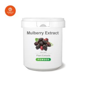 China Organic Certified 1-Deoxynojirimycin Mulberry Leaf Extract China Manufacturer Free Sample factory
