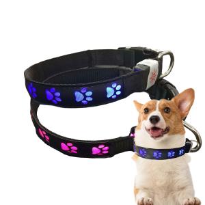 China All Season LED Flashing Dog Collar Small Medium Large Illuminated Dog Collar factory