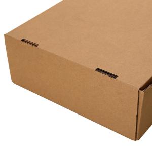 China Kiwifruit packaging paper box plain corrugated boxes custom logo color printing factory