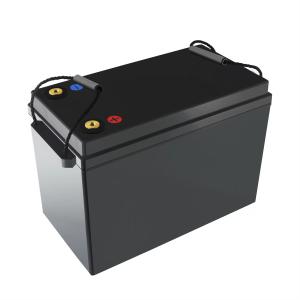 China Ultra Lightweight 24V 100AH Lithium Battery 6000 Cycle Longevity For Bicycle / Car Use factory