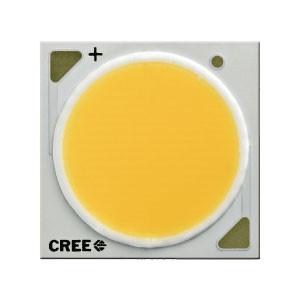 China CREE Xlamp COB generation 25* 25 size 30 W COB CXA1820 80CRI 3000k 4000k 5000k for Indoor down light factory