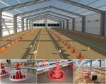 Galvanized Light Steel Frame Construction Poultry House Chicken Farm Bolts