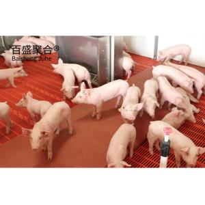 China Aluminum Alloy Window Prefabricated Warehouse Farm for Steel Beams Pig House factory