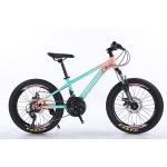 20" 21s Kids Bike Children's Bike With Customized Logo And Aluminum Alloy Rim