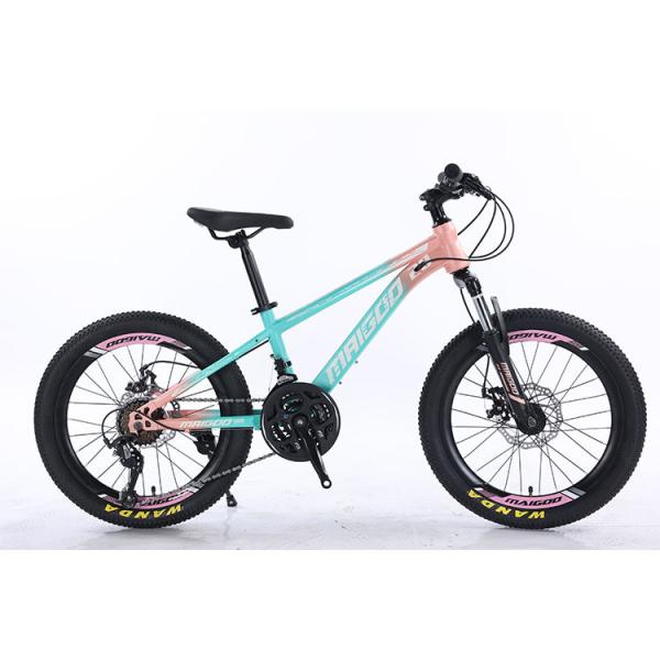 20" 21s Kids Bike Children's Bike With Customized Logo And Aluminum Alloy Rim