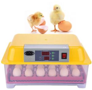 China Plastic Commercial Egg Incubator , Egg Hatching Incubator High Low Temperature Alarm factory