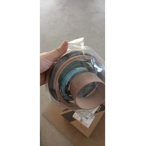 SP201471 Boom Cylinder Repair Kit CLG855 CLG922