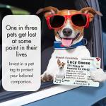DIY Custom Sublimation Pet ID Tags MDF For Sublimation Printing