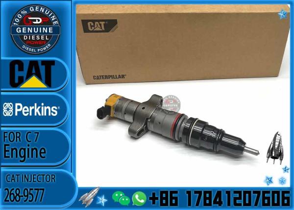 Common Rail Fuel Injector 268-9577 295-1412 20R-8064 328-2586 10R-4763 10R-7221