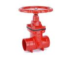 2 3 inch PN16 cast ductile iron Grooved butterfly valves