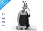 Four Handpiece Cryolipolysis Fat Freeze Slimming Machine With One Year Warranty