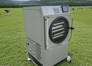 China Home Lyophilization Freeze Dryer Food Preservation With Vacuum Pump factory