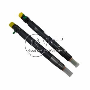 China Precise 28650351 DELPHI Diesel Fuel Injector factory